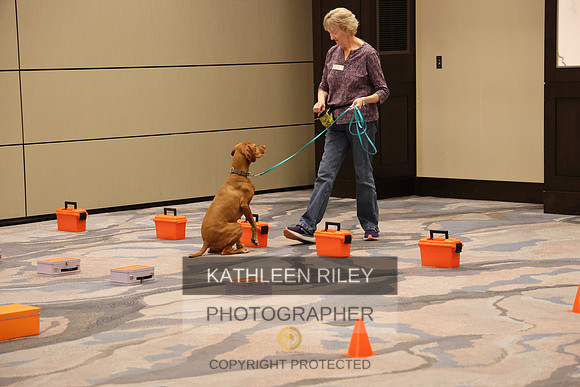 WGMC4006