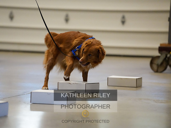 2022-KathleenRileyPhotography-03849