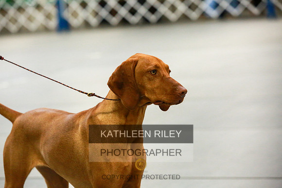 2022-KathleenRileyPhotography-8761