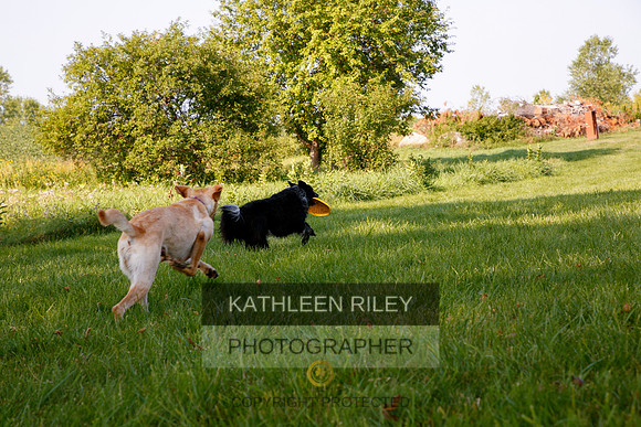 2022-KathleenRileyPhotography-5555