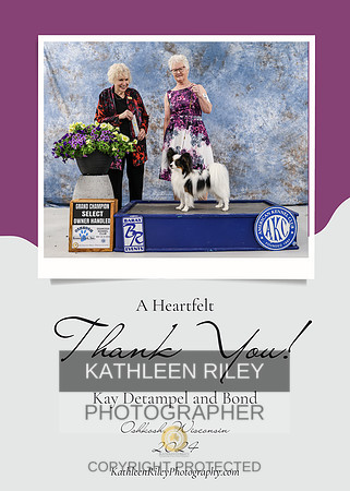 Kay and Bone v2 Purple and Cream Simple Thank You Card