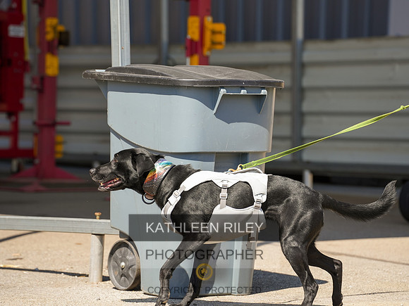 2022-KathleenRileyPhotography-04121