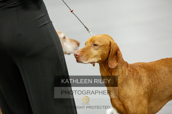 2022-KathleenRileyPhotography-0089