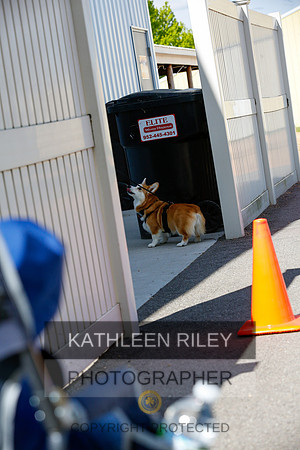 2022-KathleenRileyPhotography-4213