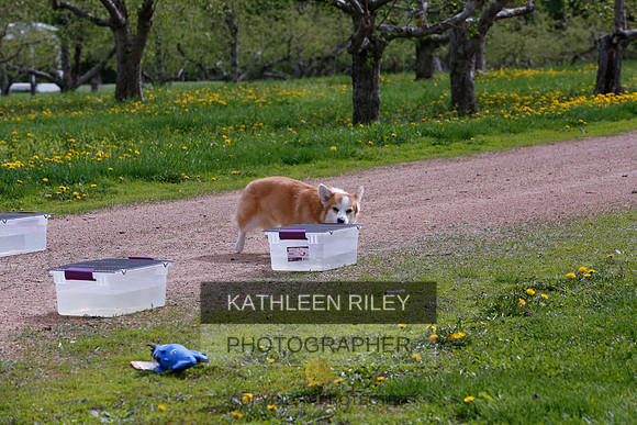 2022-KathleenRileyPhotography-8604