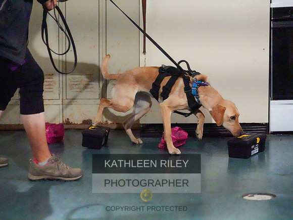 2022-KathleenRileyPhotography-384