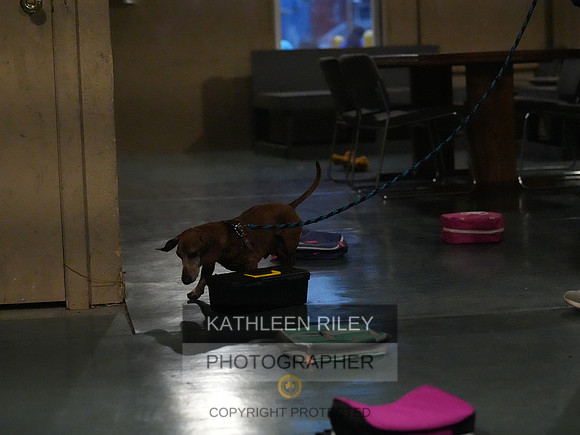 2022-KathleenRileyPhotography165