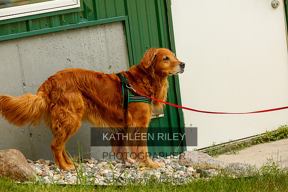 2022-KathleenRileyPhotography-0338