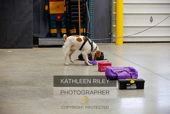 2022-KathleenRileyPhotography-6882