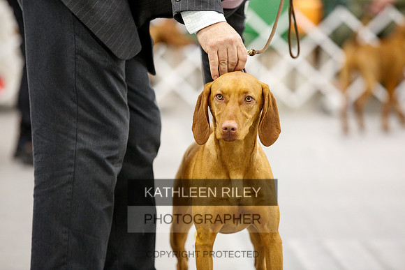 2022-KathleenRileyPhotography-1758