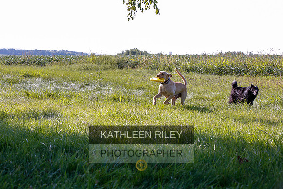 2022-KathleenRileyPhotography-7910