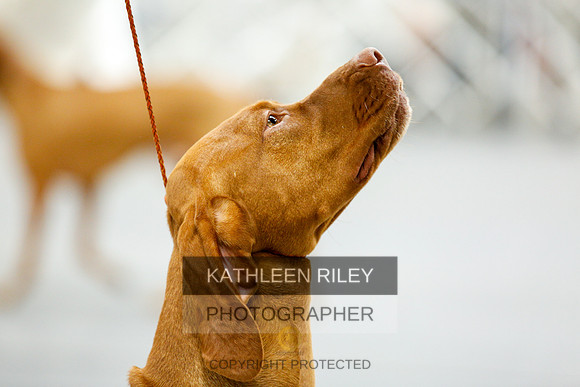 2022-KathleenRileyPhotography-0752