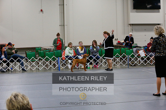 2022-KathleenRileyPhotography-7378