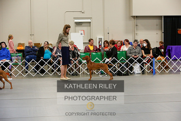 2022-KathleenRileyPhotography-5907