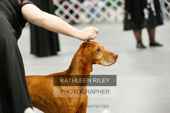 2022-KathleenRileyPhotography-0173