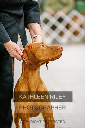 2022-KathleenRileyPhotography-1710