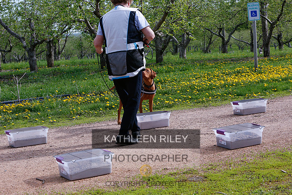 2022-KathleenRileyPhotography-8403