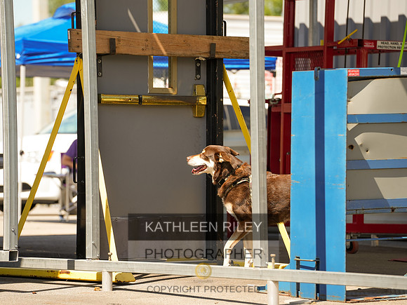 2022-KathleenRileyPhotography-04244