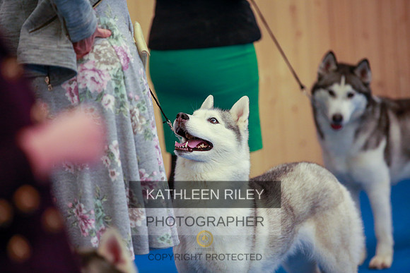 2022-KathleenRileyPhotography-6357