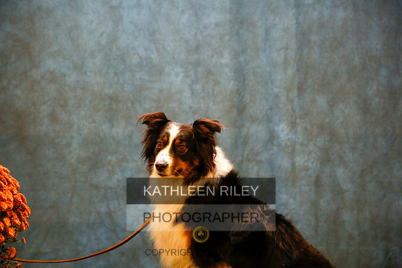 2022-KathleenRileyPhotography-9793