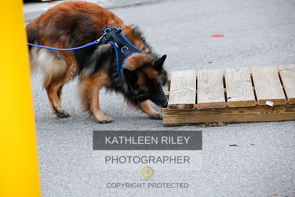 2022-KathleenRileyPhotography-7523