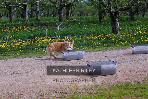 2022-KathleenRileyPhotography-8596