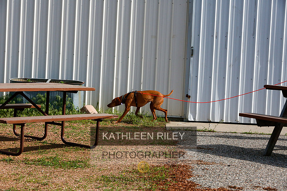 2022-KathleenRileyPhotography-9443