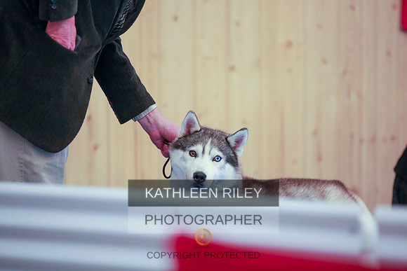 2022-KathleenRileyPhotography-6441
