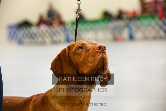 2022-KathleenRileyPhotography-8665