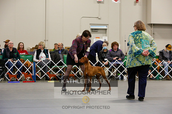 2022-KathleenRileyPhotography-2328