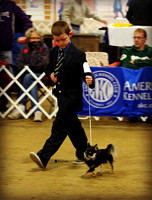 Coulee Kennel Club Dog Show - November 2013