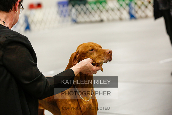 2022-KathleenRileyPhotography-0153