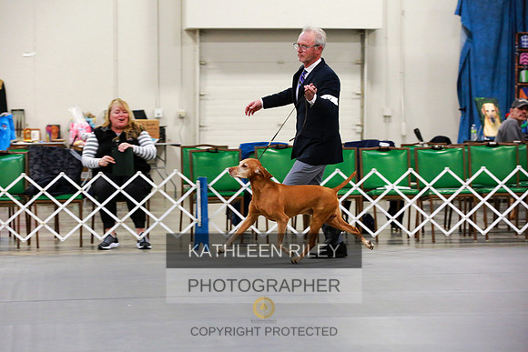 2022-KathleenRileyPhotography-7826 (1)