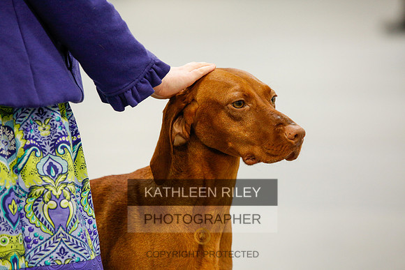 2022-KathleenRileyPhotography-9925