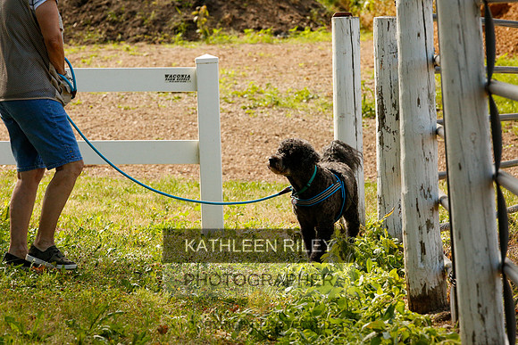 2022-KathleenRileyPhotography-0114
