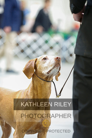 2022-KathleenRileyPhotography-3131