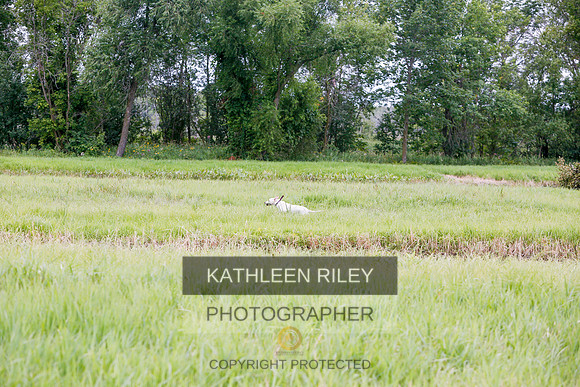 2022-KathleenRileyPhotography-3459