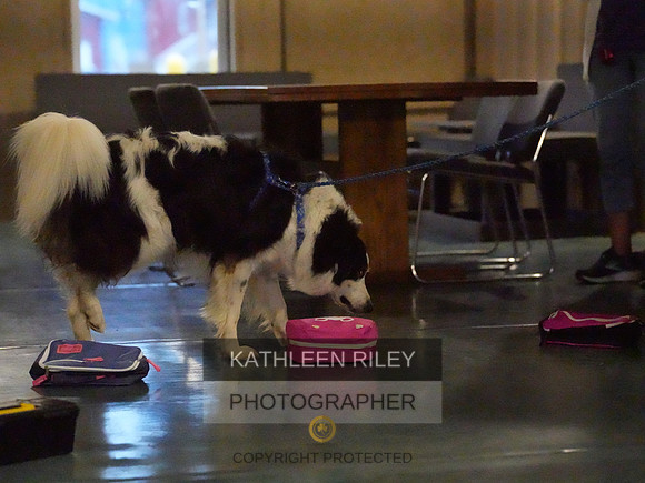 2022-KathleenRileyPhotography040