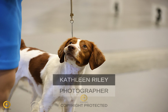 SJLT8726