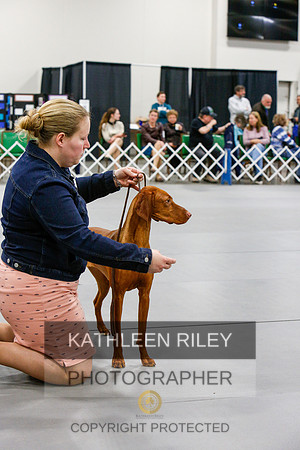 2022-KathleenRileyPhotography-6957