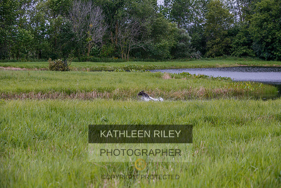2022-KathleenRileyPhotography-3163