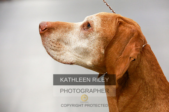2022-KathleenRileyPhotography-8053