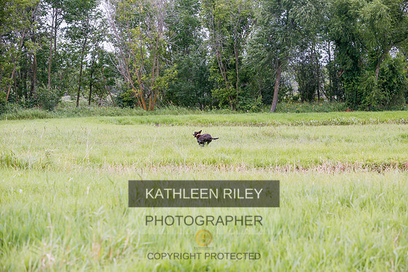 2022-KathleenRileyPhotography-3434