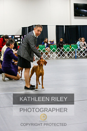 2022-KathleenRileyPhotography-6981