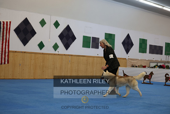 SJLT4363