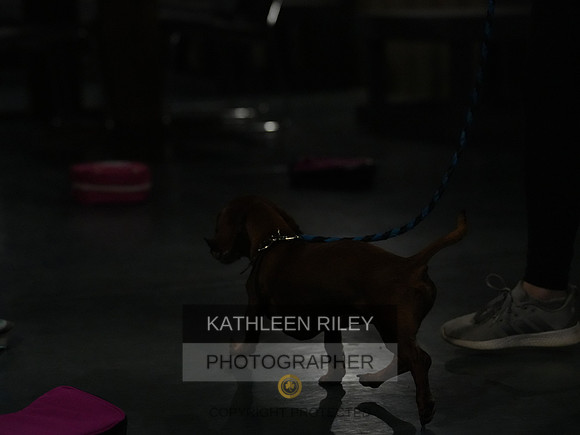 2022-KathleenRileyPhotography137