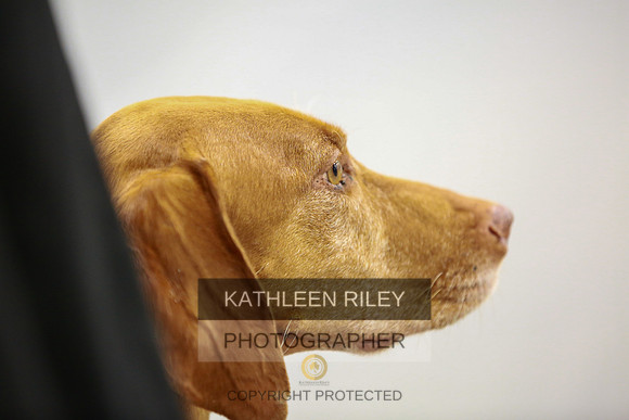 2022-KathleenRileyPhotography-8165