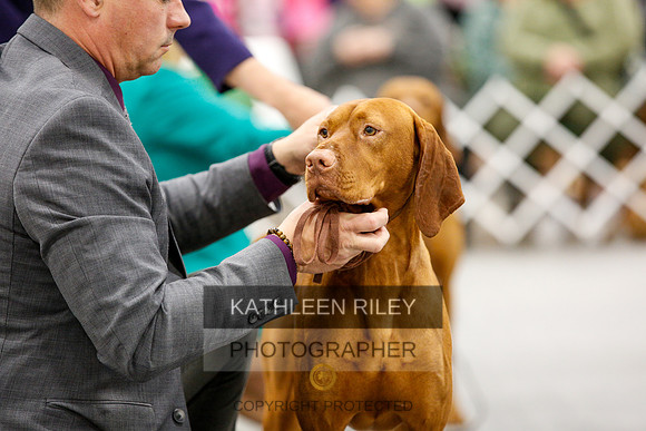 2022-KathleenRileyPhotography-1676