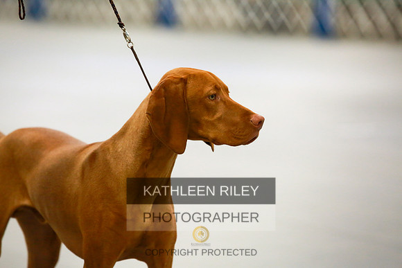2022-KathleenRileyPhotography-8494