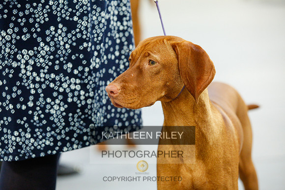 2022-KathleenRileyPhotography-9656